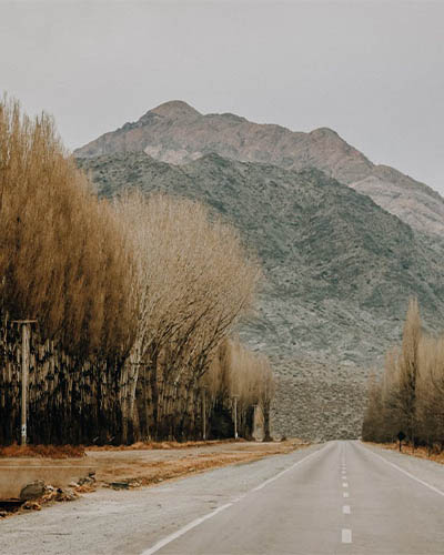 Household and commercial moving from Bangalore to Argentina