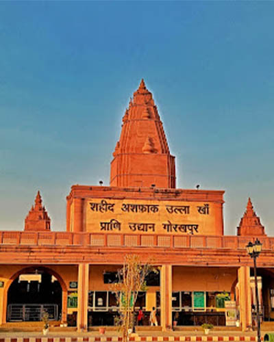 Packers and movers from Bangalore to Gorakhpur