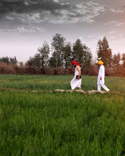 Packers and Movers from Bangalore to Haryana